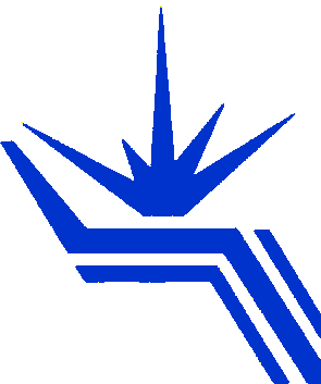 BINP logo