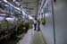 linac06_248