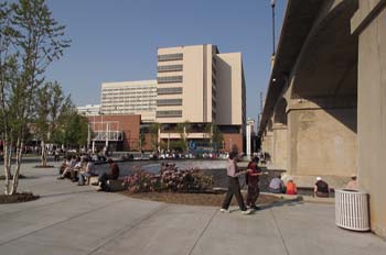 einstein_city220