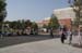 einstein_city223
